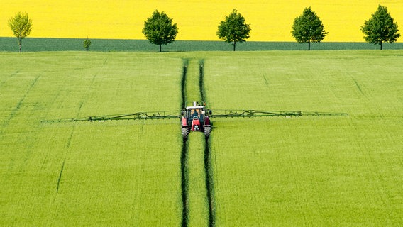 Ein Landwirt fährt mit einem Traktor über ein Getreidefeld und versprüht Pflanzenschutzmittel. © dpa-Bildfunk Foto: Julian Stratenschulte