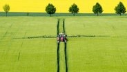 Ein Landwirt fährt mit einem Traktor über ein Getreidefeld und versprüht Pflanzenschutzmittel. © dpa-Bildfunk Foto: Julian Stratenschulte