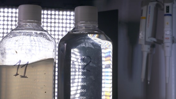 Zwei Plastikflaschen mit Proben in einem Labor. © NDR 