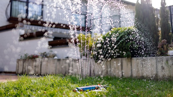 EIn Rasensprenger bewässert einen Garten. © picture alliance/Panama Pictures Foto: Christoph Hardt