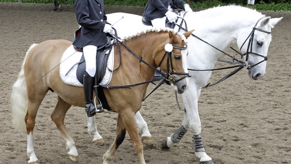 Zwei Reiter sitzen bei einem Turnier auf Pferden. © picture alliance / photothek | Thomas Imo Foto: Thomas Imo