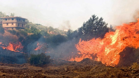 Brand in Aghios Isidoros auf Rhodos. © picture-alliance/ dpa | epa Str 