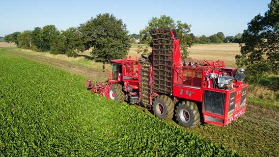 Ein Rübenroder erntet Zuckerrüben auf einem Feld in der Region Hannover. © picture alliance/dpa | Julian Stratenschulte 