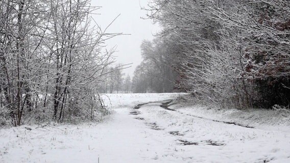 Auf einem Feld liegt Schnee. © NonstopNews 