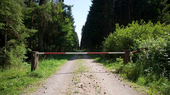 Ein mit einer Schranke abgesperrter Waldweg © picture alliance Foto: Jürgen Wiesler