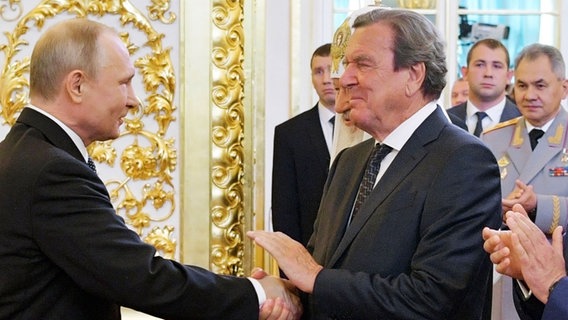 Das Bild zeigt Altkanzler Gerhard Schröder bei einem Treffen im Kreml mit Wladimir Putin. © picture alliance/dpa/POOL SPUTNIK KREMLIN/AP Foto: Alexei Druzhinin