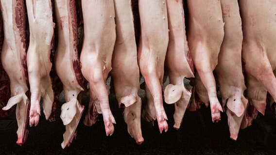 Halbierte Schweine hängen in einem Schlachthof an den Haken. © dpa-Bildfunk Foto: Mohssen Assanimoghaddam