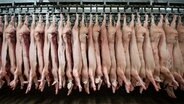 Halbierte Schweine hängen in einem Schlachthof an den Haken. © picture alliance/Mohssen Assanimoghaddam/dpa Foto: Mohssen Assanimoghaddam