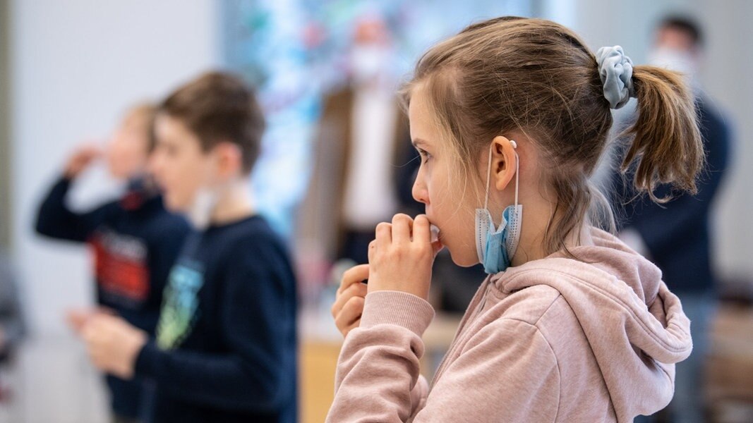 Tonne hält Corona-Selbsttests an Schulen für praktikabel | NDR.de -  Nachrichten - Niedersachsen