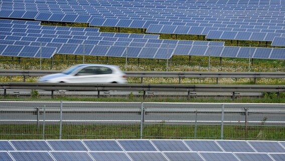 Ein Auto fährt an einem Solarpark vorbei. © picture alliance/David Ebener Foto: David Ebener
