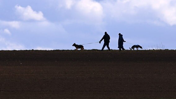 Zwei Spaziergänger gehen mit zwei Hunden auf einem Feldweg. © picture alliance / Pressebildagentur ULMER | ULMER 