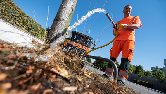 Ein Angestellter einer Kommune bewässert einen Baum. (Themenbild) © picture alliance/dpa Foto: Marijan Murat
