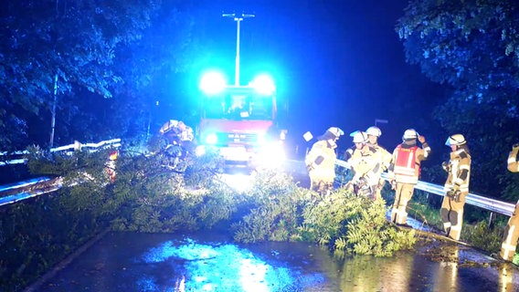 Die Feuerwehr steht neben einem umgestürzten Baum, der auf einer Straße bei Goldenstedt liegt. © Nord-West-Media TV 