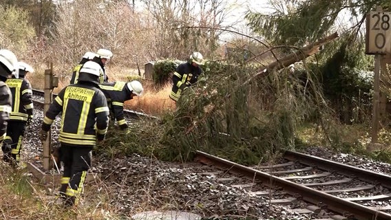 Zwei Einsatzkräfte der Feuerwehr räumen einen Baum von Bahngleisen. © Nord-West-Media TV 