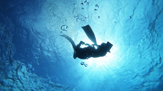 Eine Person taucht im Wasser © picture alliance / ASSOCIATED PRESS Foto: Manabu Kato