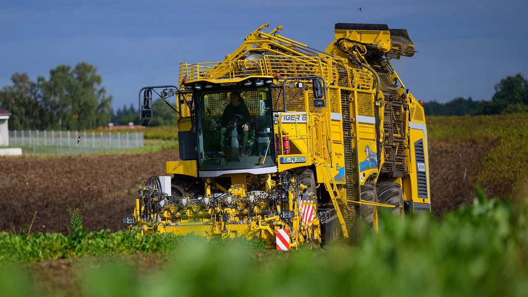 KfZ-Steuer für Landwirtschaft? Landvolk lehnt die Pläne ab | NDR.de