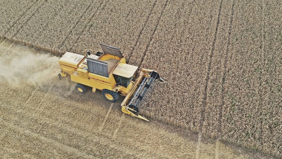 Ein Traktor erntet ein Getreidefeld. © picture alliance Foto: Daniel Kubirski