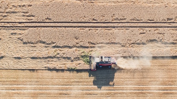 Ein Traktor fährt über ein Feld, aufgenommen aus der Vogelperspektive. © dpa Foto: Julian Stratenschulte