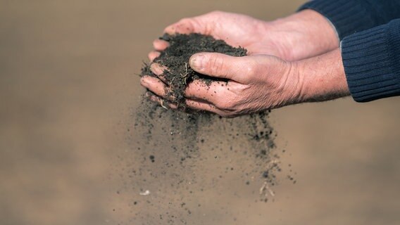 Ein Landwirt hält trockene Erde in den Händen. © dpa-Bildfunk Foto: Mohssen Assanimoghaddam