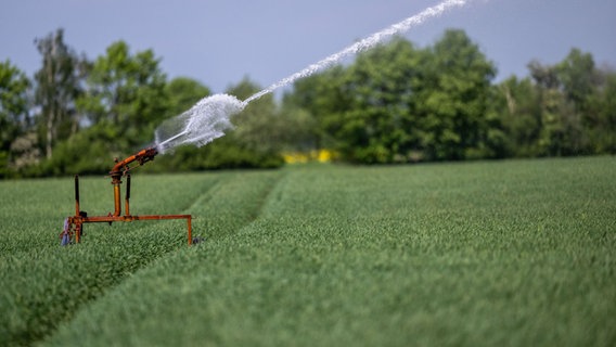 Ein Feld wird bewässert. © dpa-Bildfunk Foto: Lino Mirgeler