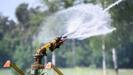 Ein Getreidefeld mit Sommergerste auf sehr trockenen Böden wird in der Region Hannover künstlich beregnet. Ein Getreidefeld mit Sommergerste auf sehr trockenen Böden wird in der Region Hannover künstlich beregnet. © dpa - picture alliance Foto: Julian Stratenschulte