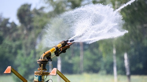 Ein Getreidefeld mit Sommergerste auf sehr trockenen Böden wird in der Region Hannover künstlich beregnet. © dpa Foto: Julian Stratenschulte