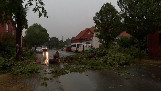 Männer zersägen einen auf eine Straße gestürzten Baum. © HannoverReporter 