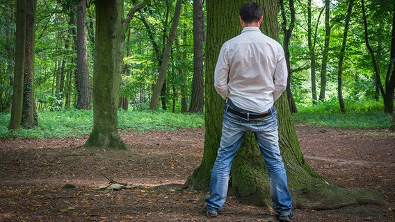 Mann uriniert im Wald an einen Baum. © fotolia Foto: andriano_cz