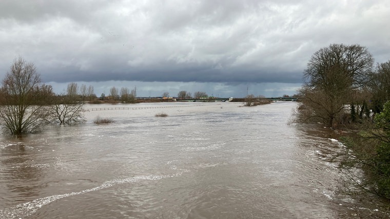 Das Bild zeigt das Hochwasser in Verden an der Aller. © NDR