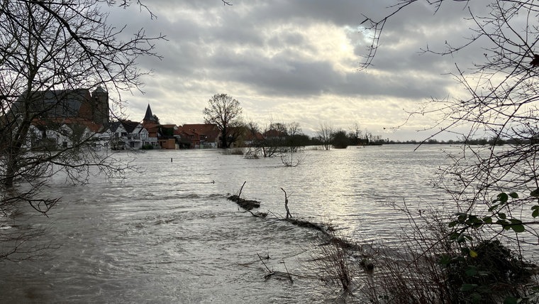 Das Bild zeigt das Hochwasser in Verden an der Aller. © NDR