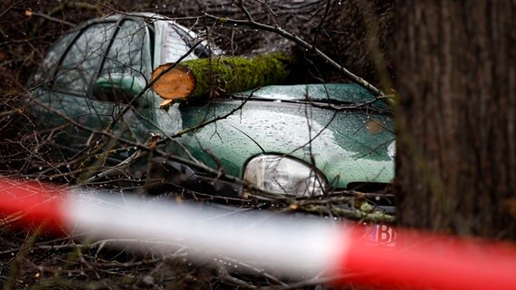 Ein Kleinwagen ist unter Ästen von einem Baum begraben. © picture alliance / Geisler-Fotopress | Christoph Hardt/Geisler-Fotopres Foto: Christoph Hardt