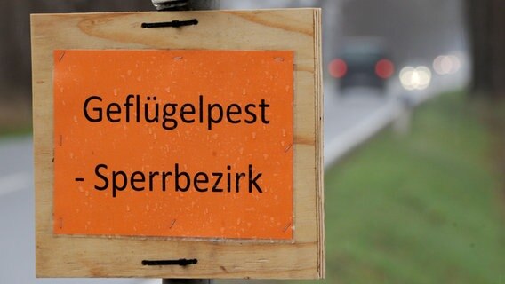 Auf einem Schild stehen die Wörter Geflügelpest und Sperrbezirk. © picture alliance / Ingo Wagner Foto: Ingo Wagner