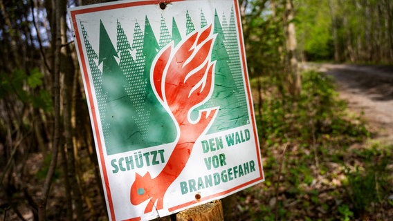 Ein Schild steht in einem Wald und fordert dazu auf, den Wald vor Bränden zu schützen. © Stefan Sauer/dpa Foto: Stefan Sauer