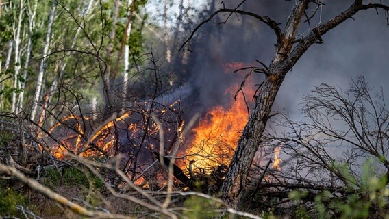 Flammen schlagen in einem Waldstück nahe Jüterbog in die Höhe. © picture alliance/dpa | Fabian Sommer Foto: Fabian Sommer