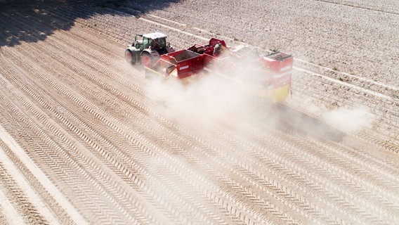 Ein Landwirt erntet Kartoffeln auf einem staubtrockenen Feld in der Region Hannover. © dpa-Bildfunk Foto: Julian Stratenschulte