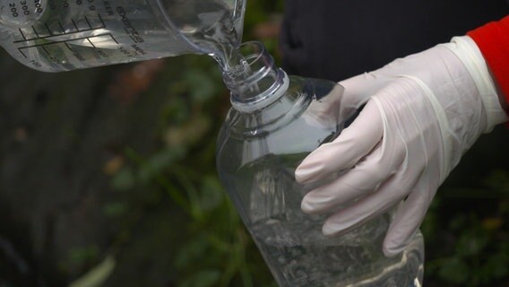 Wasserprobe in einer durchsichtigen Flasche. © NDR 