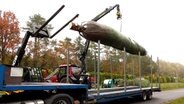 Der Weihnachtsbaum für den Bundespräsidenten steht in einem Dorf im Landkreis Rotenburg. © Nord-West-Media TV 