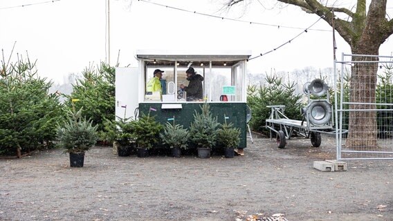 Hannover: Ein Verkaufsstand für Weihnachtsbäume steht am Rudolf-von-Bennigsen-Ufer in Hannover. © dpa Foto: Michael Matthey