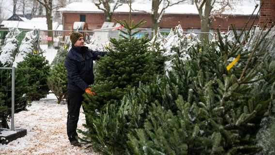 Ein Verkäufer kontrolliert einen Weihnachtsbaum. © dpa Foto: Philipp Schulze