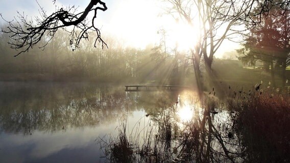 Die Sonne verdrängt den Frühnebel am Rösenteich in Lutter. © NDR Foto: Lothar Biener