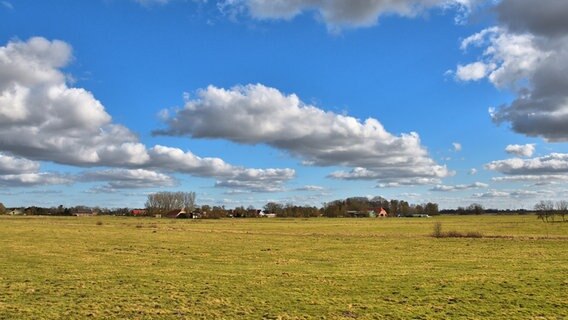 Eine Wiese im Südbrookmerland bei Aurich. © NDR Foto: Weard Bültena