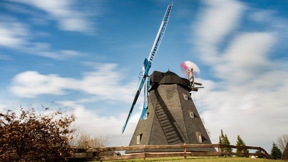 Paula ist eine Holländermühle in Steinhude. © NDR Foto: Detlef Jürges