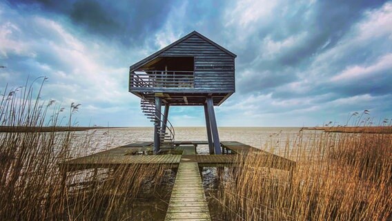 Ein Beobachtungsturm ist vor dem Dollart im Rheiderland zu sehen. © NDR Foto: Gerrit Denekas