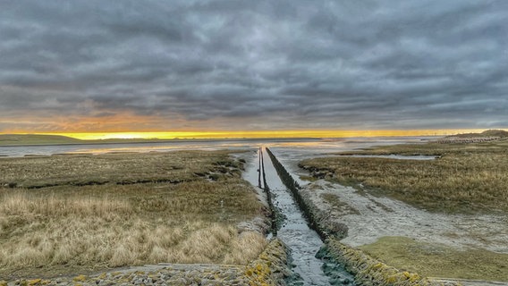 Der Sonnenaufgang auf Norderney. © NDR Foto: Thomas Ammermann