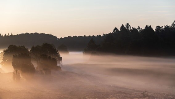 Nebelschwaden ziehen am frühen Morgen über die Lüneburger Heide. © NDR Foto: Dennis Karjetta