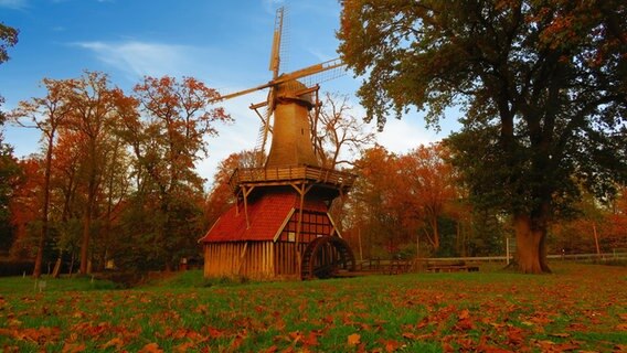 Die Hüvener Mühle im Landkreis Emsland. © NDR Foto: Elke Strauch