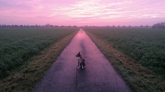 Ein Hund sitzt bei Sonnenaufgang auf einem Weg der sich zwischen Feldern befindet. © NDR Foto: Carsten Voß