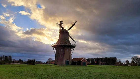 Blick auf eine Windmühle in Holtland. © NDR Foto: Marion Holtz