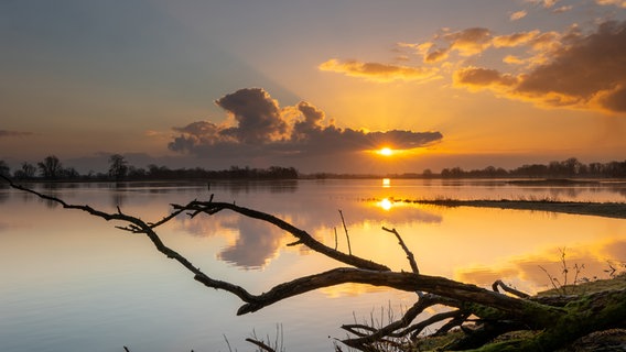 Die Sonne geht in der Niedersächsischen Elbtalaue am 11.02.2022 auf. © NDR Foto: Thomas Möller