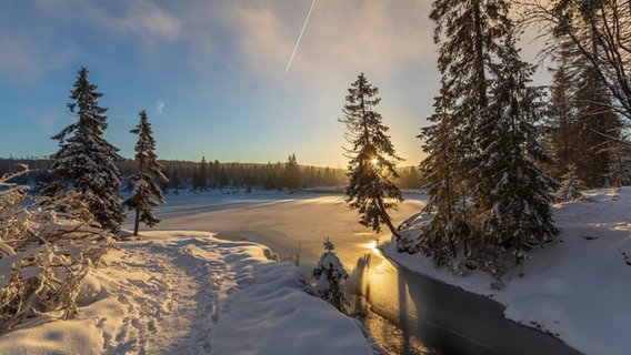 Über der zugeschneiten Landschaft am Oderteich im Harz geht die Sonne auf. © NDR Foto: Michael Lumme